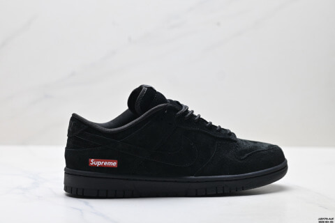 NIKE DUNK LOW Skate Shoes