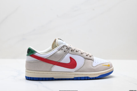 NIKE DUNK LOW Retro Low-Top Skate Shoes